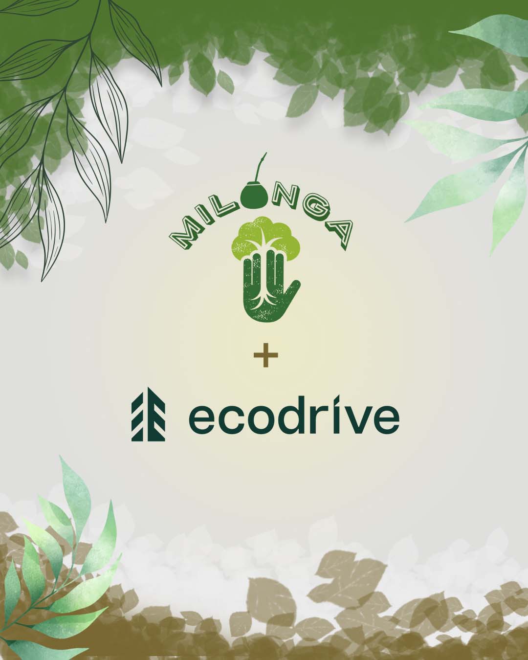 Milonga and Ecodrive NGO